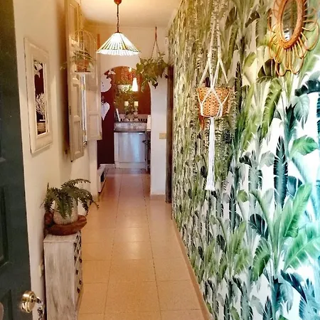 Vaiana * Las Rosas (Arona, Tenerife)