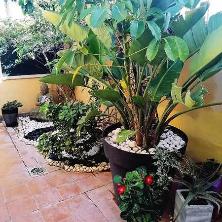 Vaiana Las Rosas (Arona, Tenerife)