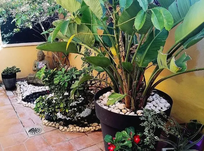 Vaiana Las Rosas (Arona, Tenerife)